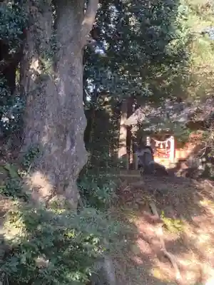 愛宕神社(渕ノ上)(宮城県)