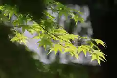 田村神社の自然