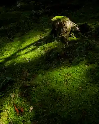 御岩神社(茨城県)