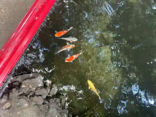 世田谷八幡宮(東京都)