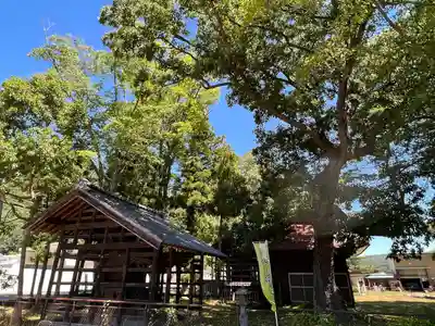 小玉川神社(長野県)
