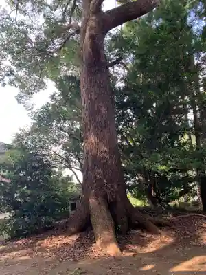 稲荷大神(千葉県)