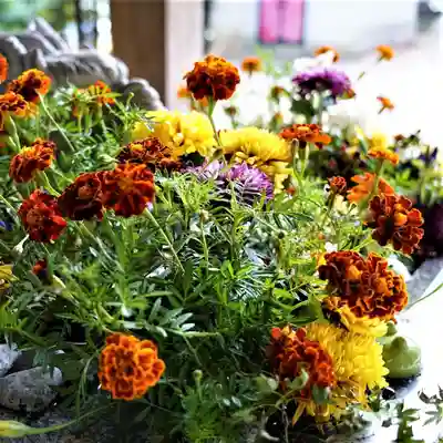 滑川神社 - 仕事と子どもの守り神の手水舎