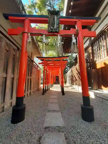 堀越神社(大阪府)