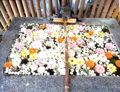 高円寺氷川神社(東京都)