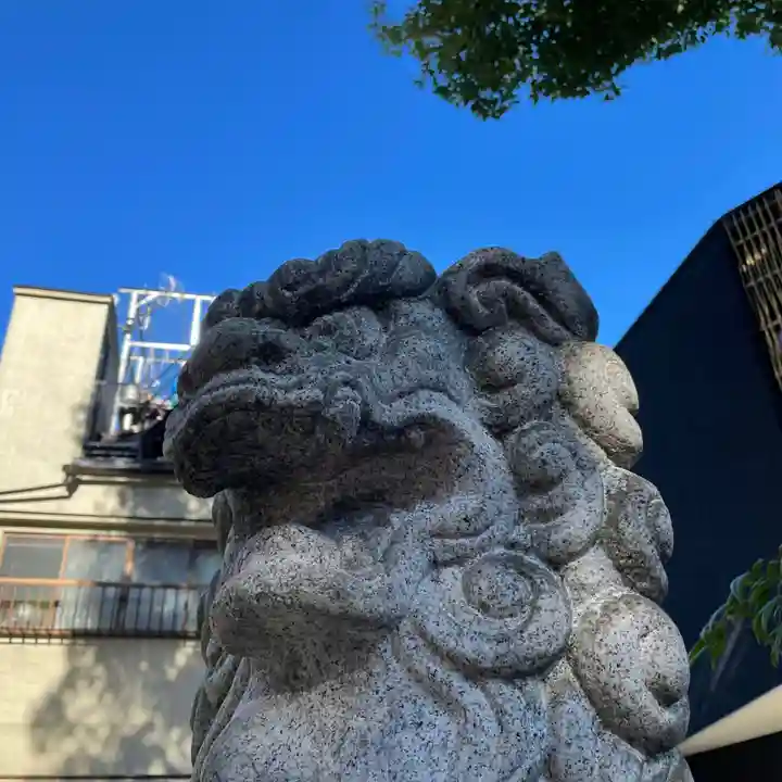 江島杉山神社の狛犬