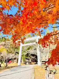 土津神社|こどもと出世の神さま(福島県)(2025年11月17日(月) 13時56分54秒投稿)