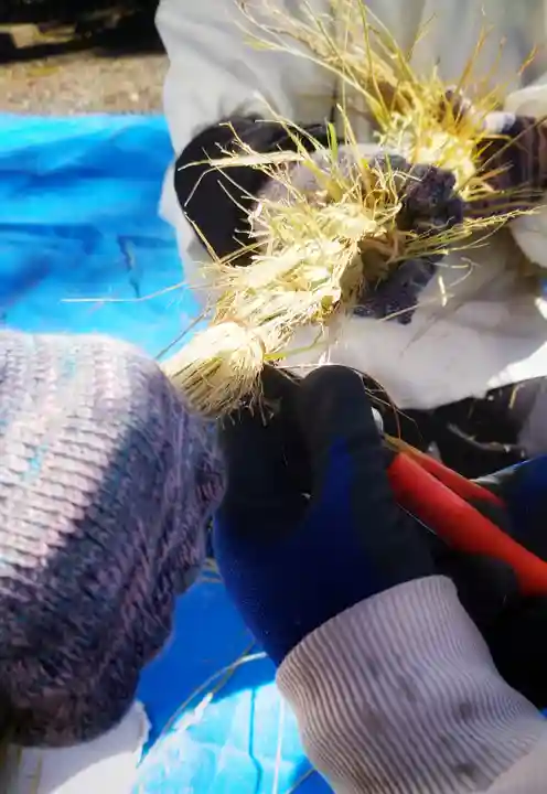 若宮神明社のお祭り