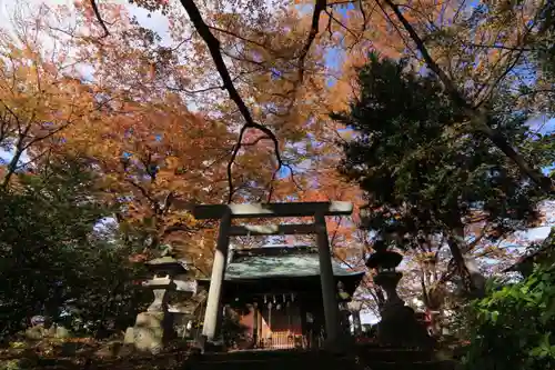 愛宕神社の鳥居