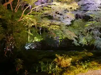 光明寺瑠璃光院(京都府)
