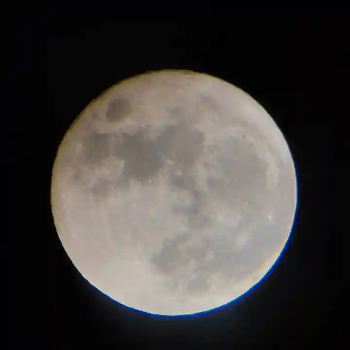 磐椅神社の自然