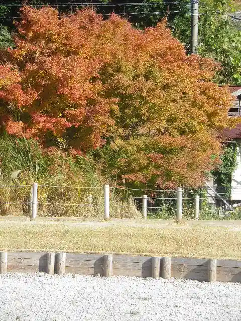 永福寺跡(永福寺址)の自然
