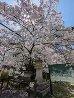 大石神社(京都府)