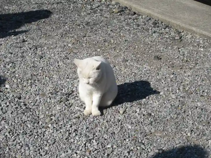 今戸神社(東京都)
