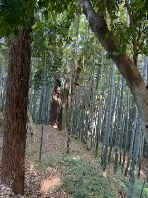 石清水八幡宮の{uncategorized: "未分類", other: "その他", undefined: "問題あり", building: "その他建物", grave: "お墓", sacred_gate: "鳥居", guardian: "狛犬", statue: "像", buddha: "仏像", history: "歴史", nature: "自然", garden: "庭園", animal: "動物", pagoda: "塔", temizu: "手水舎", mountain_gate: "山門・神門", sanctuary: "本殿・本堂", subordinate: "末社・摂社", art: "芸術", scenery: "景色", jizo: "地蔵", ema: "絵馬", goshuin: "御朱印", omikuji: "おみくじ", items: "授与品その他", amulet: "お守り", goshuincho: "御朱印帳", eats: "食事", festival: "お祭り", votive_dance: "神楽", shichigosan: "七五三参", wedding: "結婚式", experience: "体験その他", initially: "初詣", around: "周辺", anti_infection: "感染症対策"}