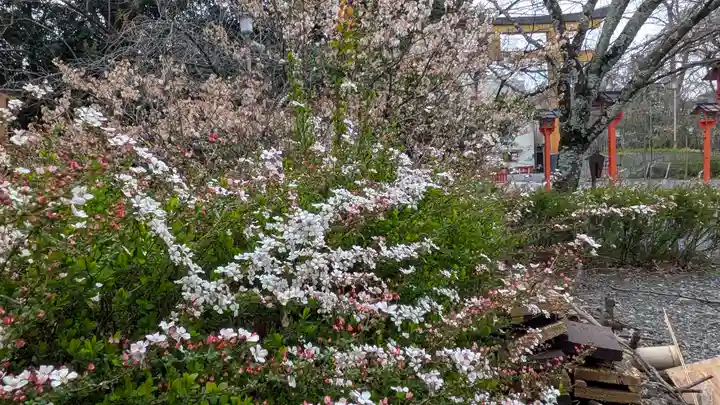 平野神社(京都府)