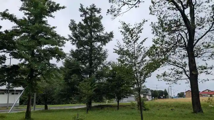 有明八幡神社の自然