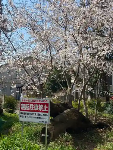 中山神社の自然