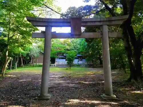 津島社（津島社・天満社）の鳥居