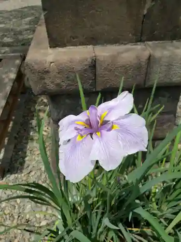 磐井神社(東京都)