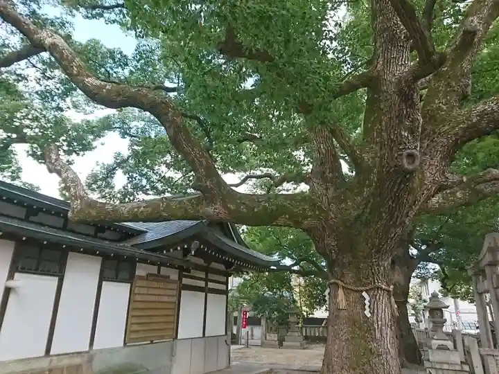 素盞嗚尊神社の自然