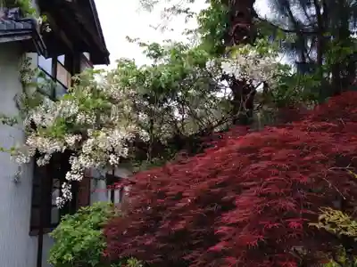 浄心寺(愛知県)