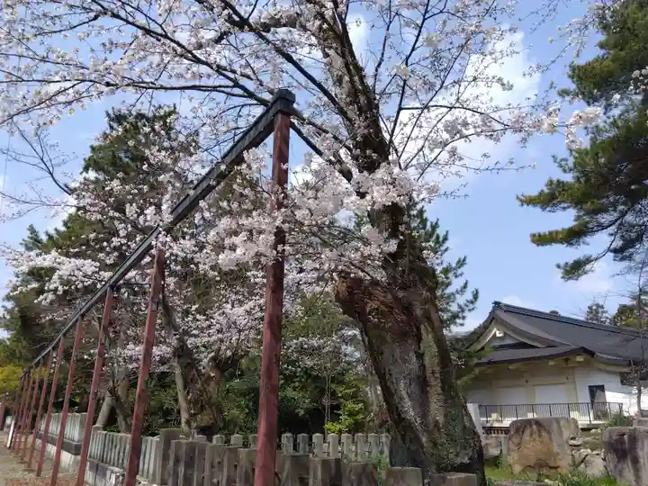 福井県護国神社(福井県)