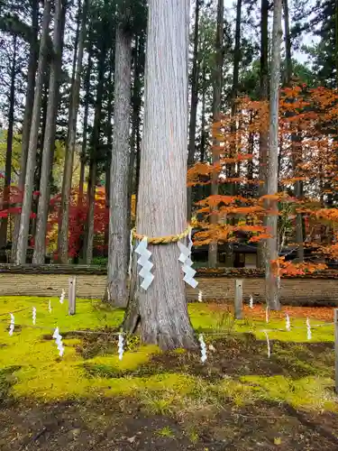 古峯神社(栃木県)