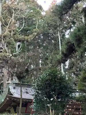 大宮温泉神社(栃木県)