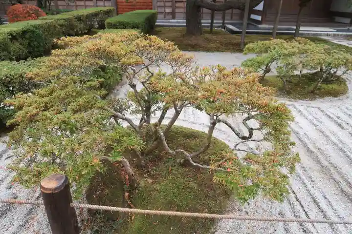 慈照寺(慈照禅寺・銀閣寺)の庭園