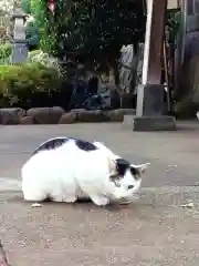 重林寺(東京都)