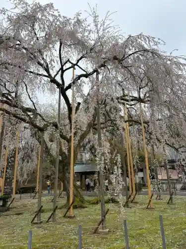 足羽神社の{uncategorized: "未分類", other: "その他", undefined: "問題あり", building: "その他建物", grave: "お墓", sacred_gate: "鳥居", guardian: "狛犬", statue: "像", buddha: "仏像", history: "歴史", nature: "自然", garden: "庭園", animal: "動物", pagoda: "塔", temizu: "手水舎", mountain_gate: "山門・神門", sanctuary: "本殿・本堂", subordinate: "末社・摂社", art: "芸術", scenery: "景色", jizo: "地蔵", ema: "絵馬", goshuin: "御朱印", omikuji: "おみくじ", items: "授与品その他", amulet: "お守り", goshuincho: "御朱印帳", eats: "食事", festival: "お祭り", votive_dance: "神楽", shichigosan: "七五三参", wedding: "結婚式", experience: "体験その他", initially: "初詣", around: "周辺", anti_infection: "感染症対策"}