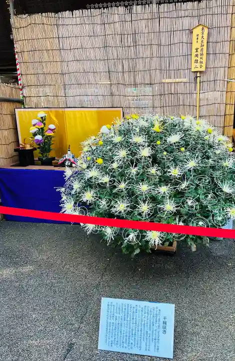 湯島天満宮(東京都)