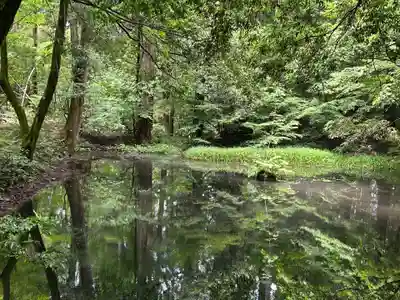 平泉寺白山神社(福井県)