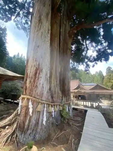 金剛三昧院(和歌山県)