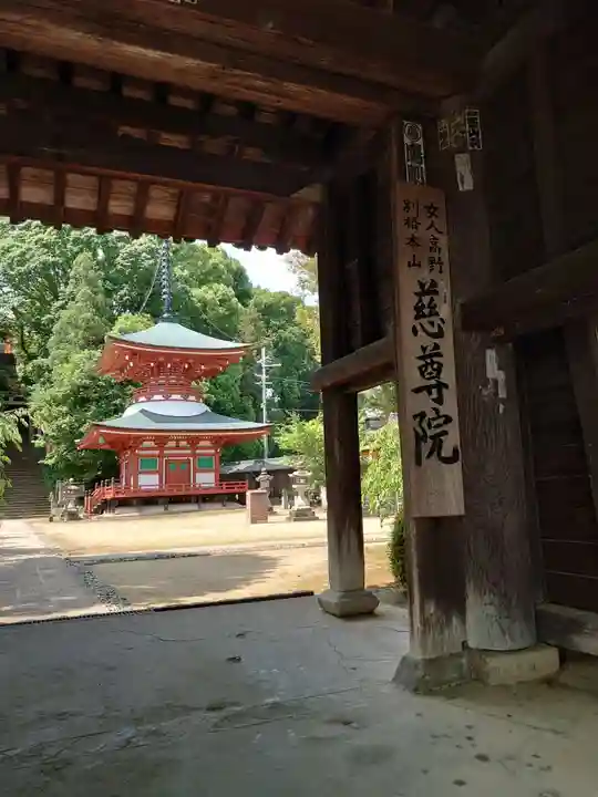 慈尊院の山門・神門