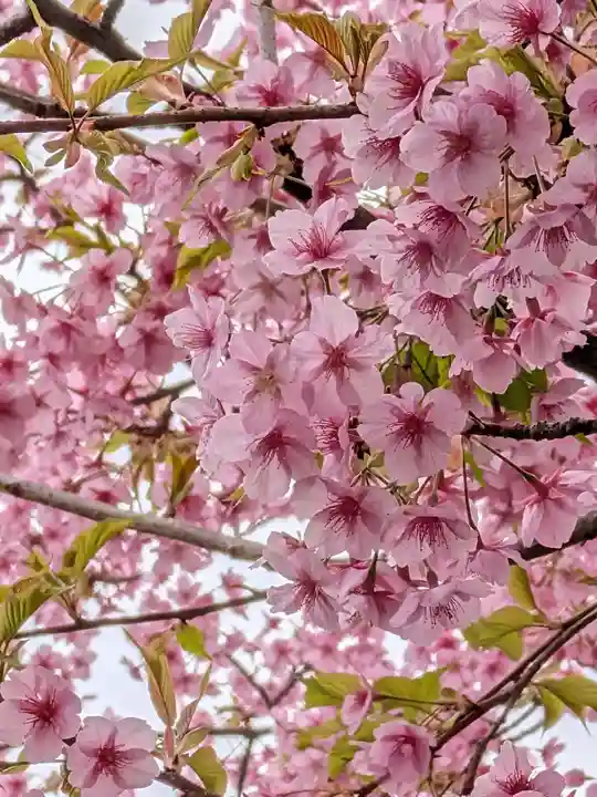 源空寺(東京都)