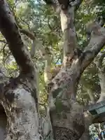 渡海神社(千葉県)
