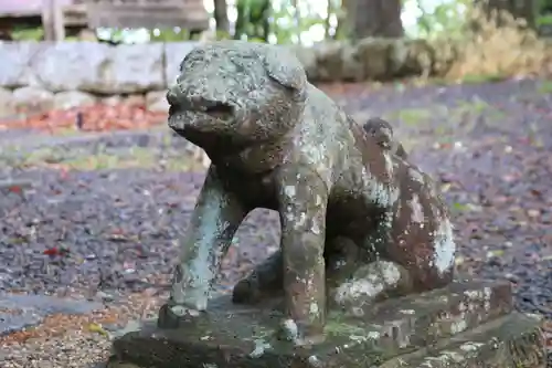 鷲神社の狛犬