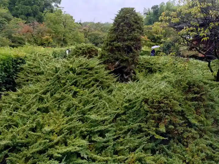 勧修寺(京都府)
