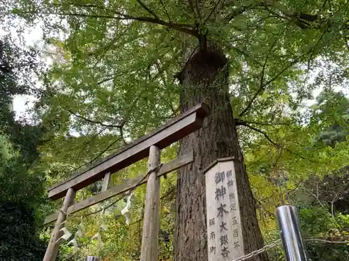 大六神社の鳥居