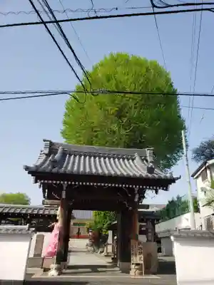 禅定院の山門・神門