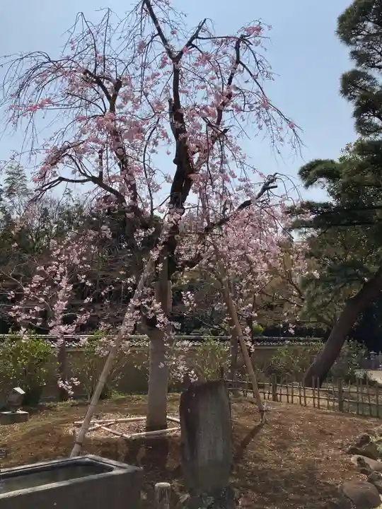 東漸寺(千葉県)