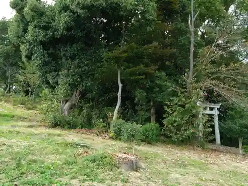 千歳稲荷神社の自然