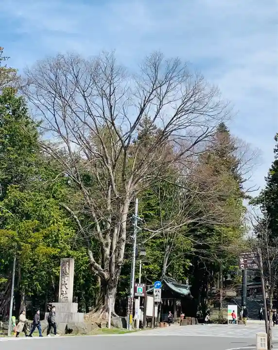 諏訪大社下社秋宮(長野県)