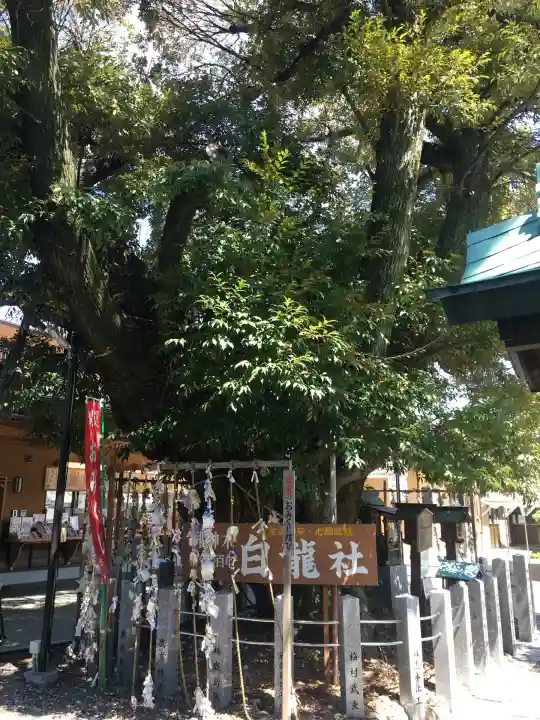 伊奴神社(愛知県)