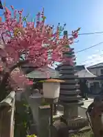 蓮久寺(神奈川県)