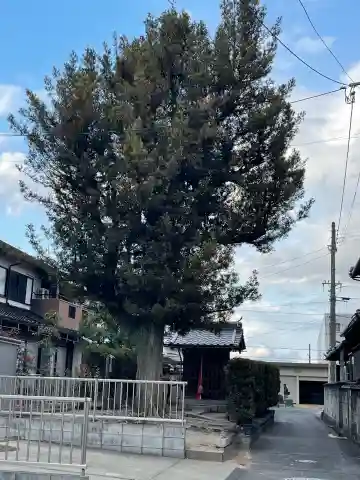 部令田神社(滋賀県)