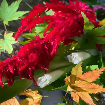 滑川神社 - 仕事と子どもの守り神の手水舎
