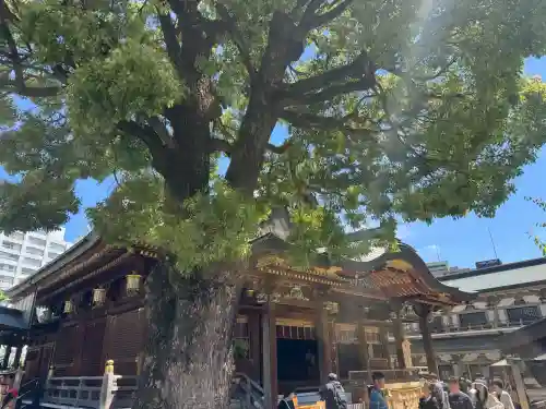 湯島天満宮の{uncategorized: "未分類", other: "その他", undefined: "問題あり", building: "その他建物", grave: "お墓", sacred_gate: "鳥居", guardian: "狛犬", statue: "像", buddha: "仏像", history: "歴史", nature: "自然", garden: "庭園", animal: "動物", pagoda: "塔", temizu: "手水舎", mountain_gate: "山門・神門", sanctuary: "本殿・本堂", subordinate: "末社・摂社", art: "芸術", scenery: "景色", jizo: "地蔵", ema: "絵馬", goshuin: "御朱印", omikuji: "おみくじ", items: "授与品その他", amulet: "お守り", goshuincho: "御朱印帳", eats: "食事", festival: "お祭り", votive_dance: "神楽", shichigosan: "七五三参", wedding: "結婚式", experience: "体験その他", initially: "初詣", around: "周辺", anti_infection: "感染症対策"}
